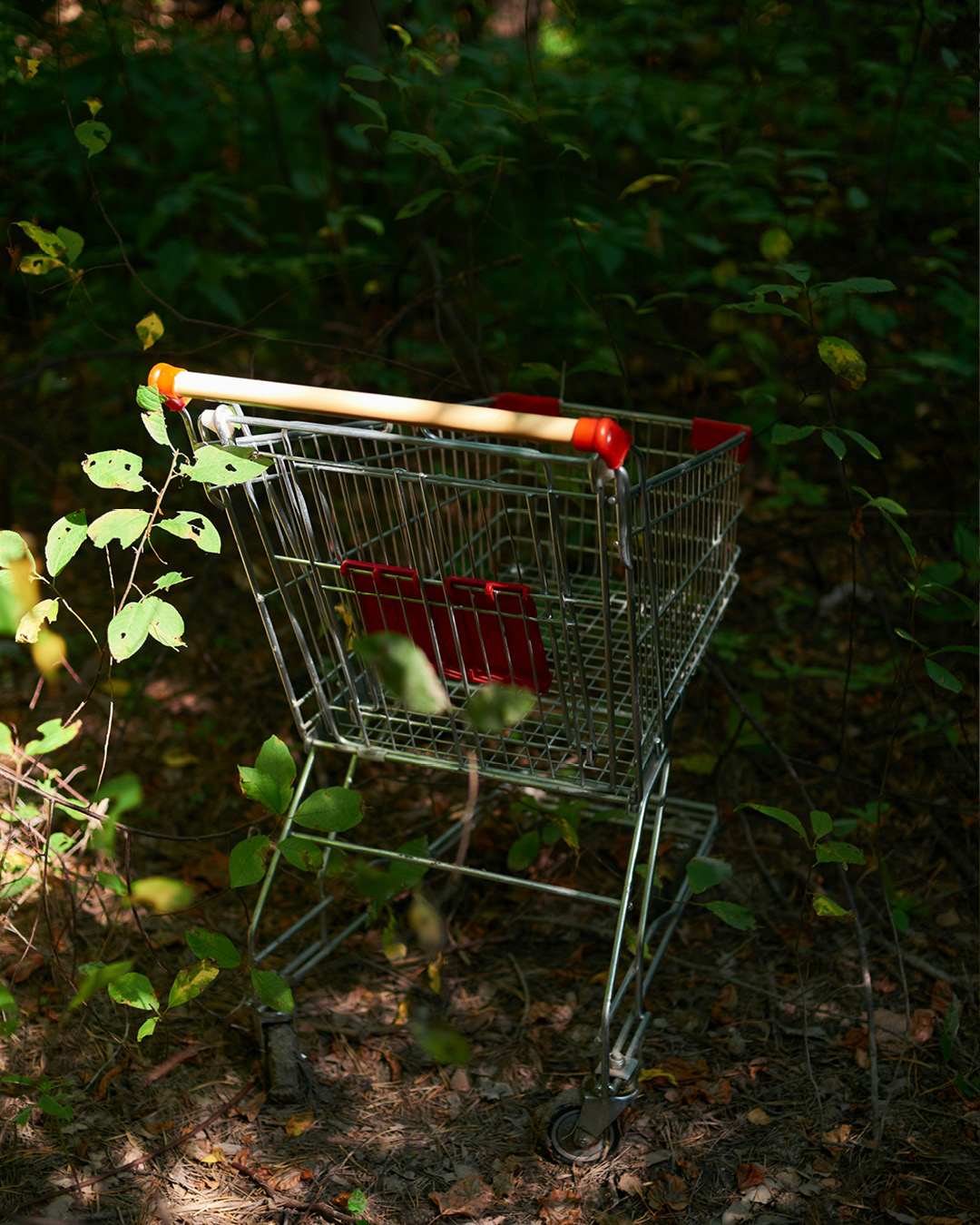 Fotografie eines Einkaufswagens im Wald