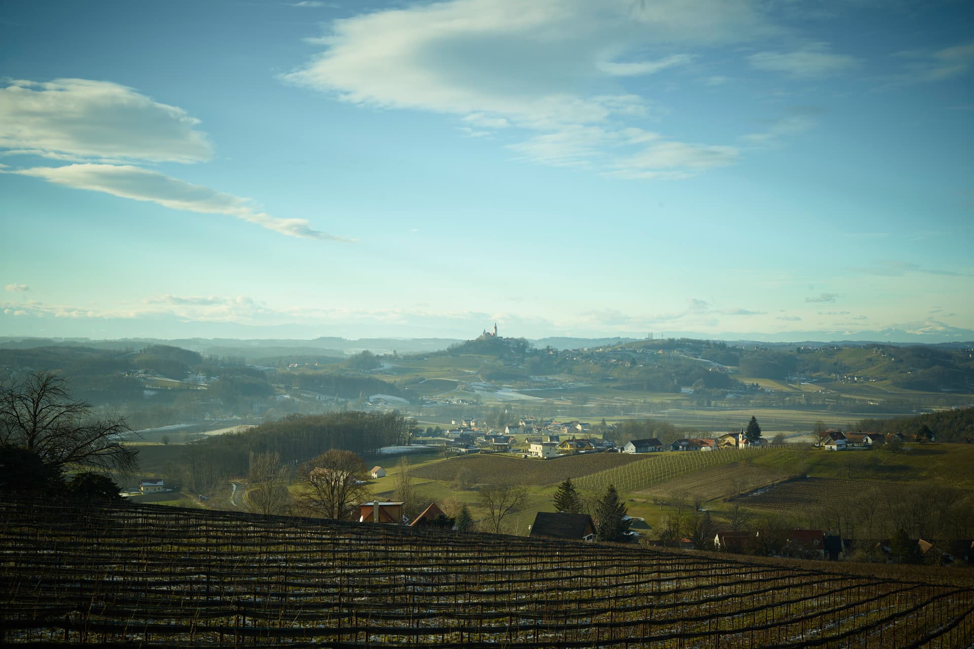 Landschaftsfoto der Weinberge in Straden